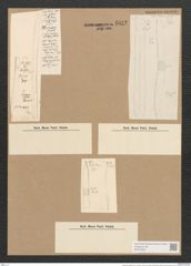 Hantzschia elongata Grun. (de-Toni-Nr.: Genus 50, Species 2206) Zeichnungen Sammlung Grunow Nr. 4612 (NHMW-BOT-W0372653)